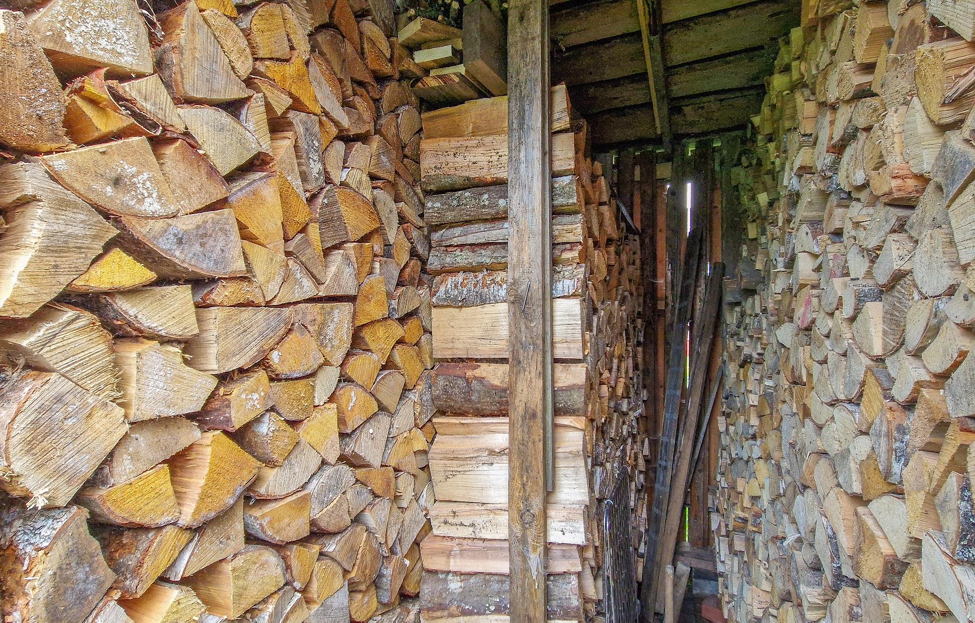 Septembri keskel on küttepuude ostubuum vaibunud ning heal juhul tuleb päeva peale kokku üks kümneruumine koorem, mis kliendi juurde vurab. Foto: Aigar Nagel